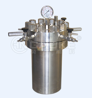 CF简易不锈钢耐压反应釜（1L-20L）耐腐耐高压